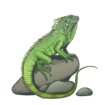 Toloc Conta